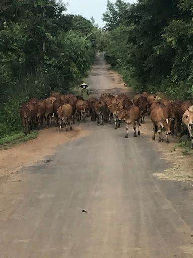 CSGT KHÁNH HOÀ, Cam Nghĩa, Tp. Cam Ranh, Khánh Hòa