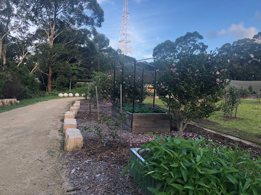 Artarmon Parklands Community Garden