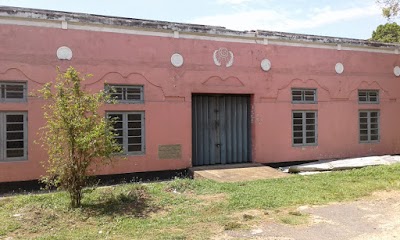 university
