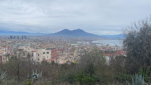 Liceo Ginnasio Statale Gian Battista Vico - Thumbnail