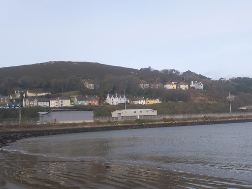 Fishguard & Goodwick - Thumbnail