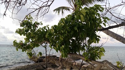 Photos of Asdhoo