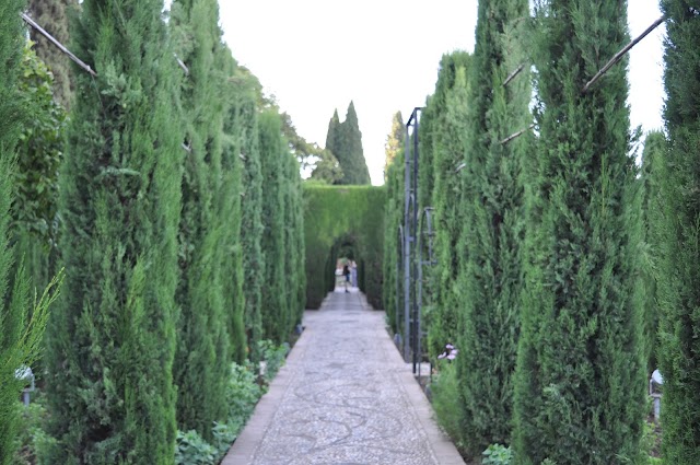 Generalife Gardens