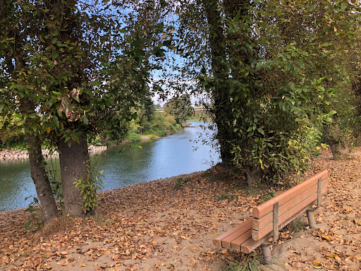 Duvall Beach - Visual