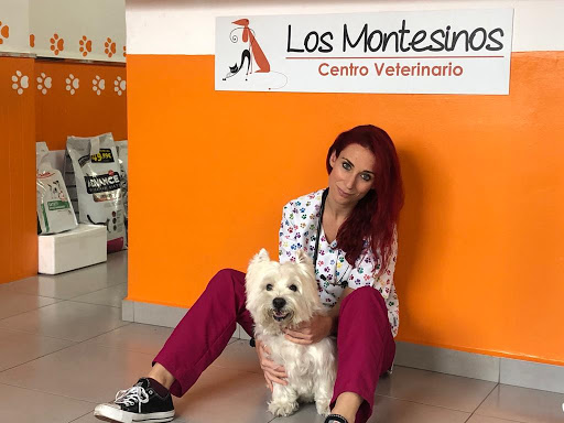 Centro Veterinario Los Montesinos | Fisioterapia y Rehabilitación Animal | Neurología