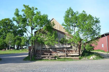 Silver Lining Ranch Herberner Str. 24, 59368 Werne