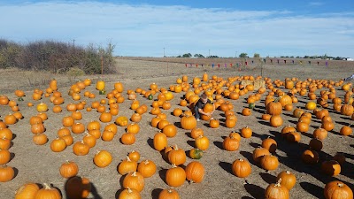 Wishing Star Farm