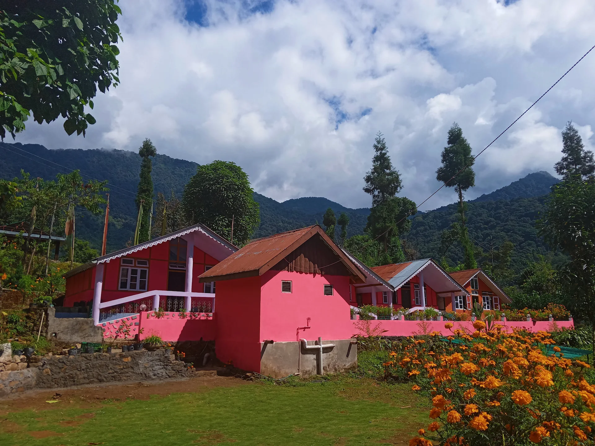 Welcome Homestay