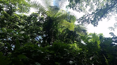 park