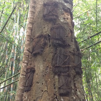 Photos of Kambira Baby Grave