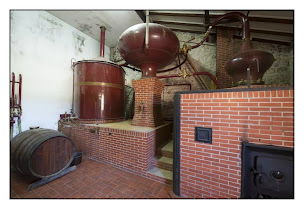 Photo n°38 de Château de Plassac à Plassac (Établissement vinicole)