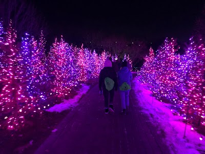 Thanksgiving Point Luminaria