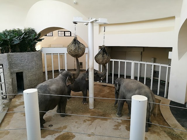 Hellabrunn Der Münchner Tierpark