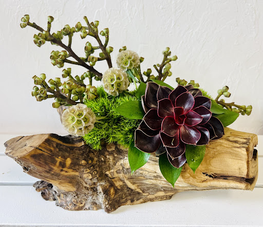 Focus Floral - Visual