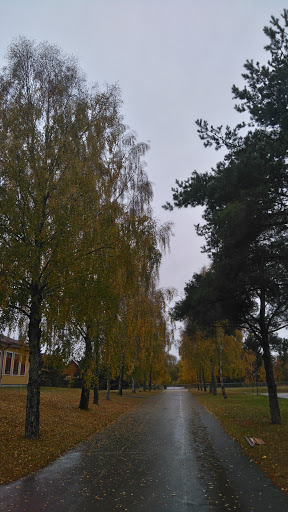 Solängskolan - Visual