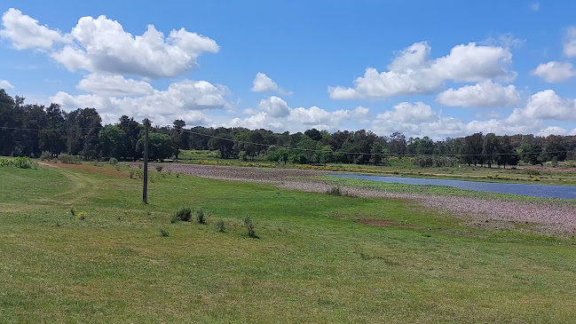 Opiniones de Lago Artificial - Parque Thomas Berreta en Florida - Camping