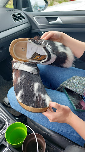Schuh - Keller - Visual