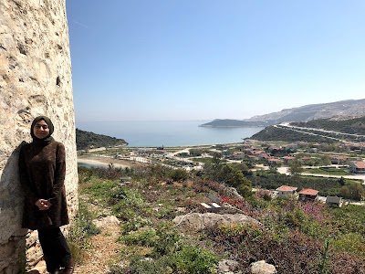 Basketbol Sahası