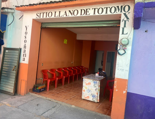 Sitio De Taxis Llano De Totomoxtle S.A - Thumbnail