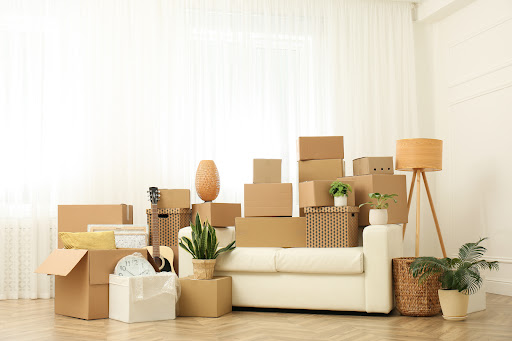 ProMovers - Thumbnail