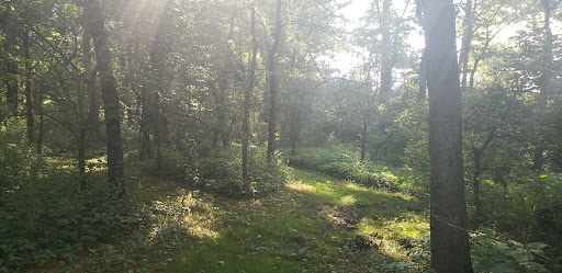 Donna May Campbell Nature Preserve - Darke County Parks - Thumbnail