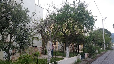 Özveri Sitesi