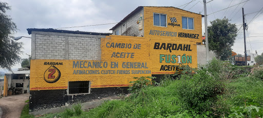 Mecanico Aceites Y Lubricantes Hernandez