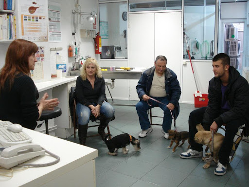 Clínica Veterinaria Horta-El Carmel