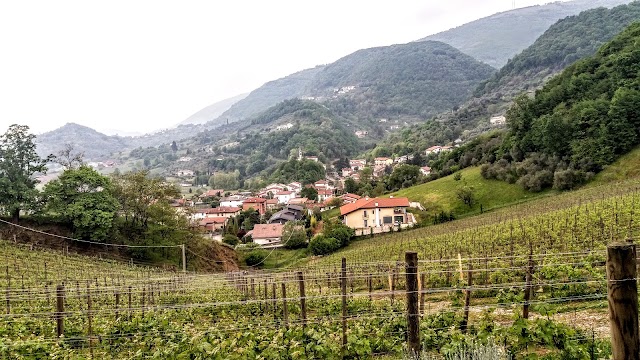 Winegrowers Contrà Soarda