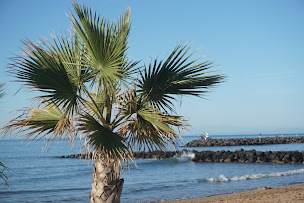 Photo n°82 de Camping Club Farret Yelloh ! Village à Vias (Terrain de camping)