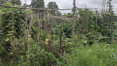 West Side Community Gardens