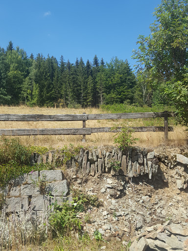 Thüringer Forstrevier Piesau - Visual