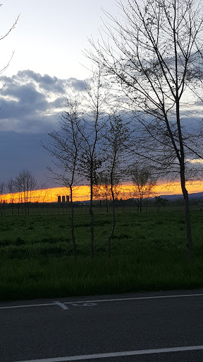 Parco Della Concordia