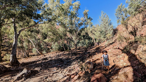 Bunyeroo Car Park and Trailhead - Thumbnail