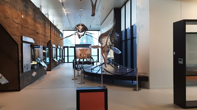 Avis sur Paléospace à Caen - Musée