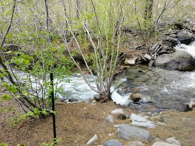 Galena Creek Fish Hatchery