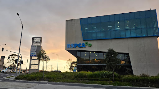 RSPCA Victoria Burwood East