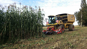 Photo n°20 de Cazenave Pascal à Marpaps (Service agricole)