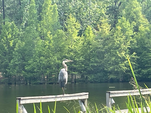 Lake Moultrie RV Park & Marina, Cross South Carolina - Thumbnail