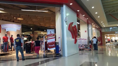 Photos of Flamingo
