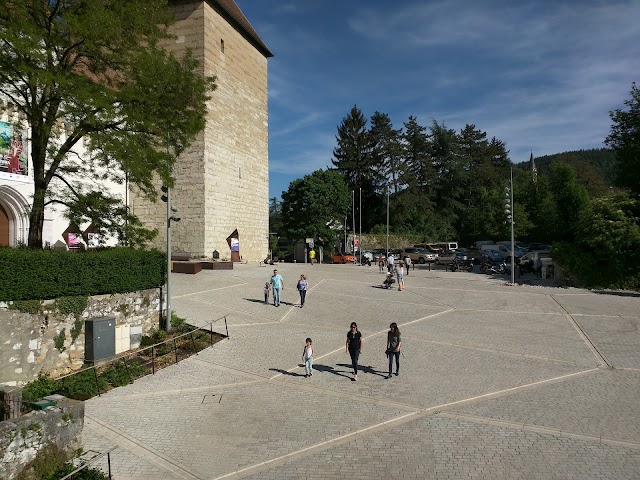 Château de Menthon-Saint-Bernard