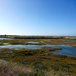 Photo n°6 de LE NEZ VOYAGEUR à Ars-en-Ré (Boutique de cadeaux)
