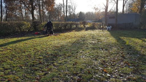 K9 Campus - Visual
