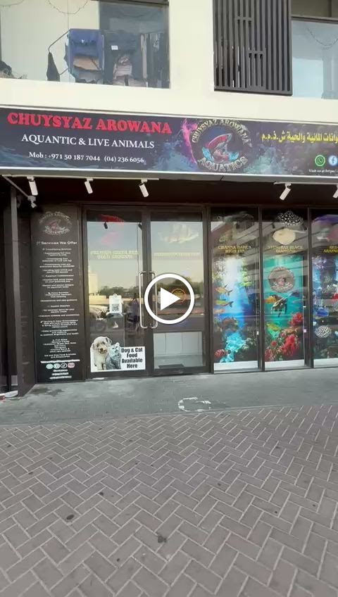 Chuysyaz Arowana Aquatic & Live Animals Trading L.L.C - صورة 3
