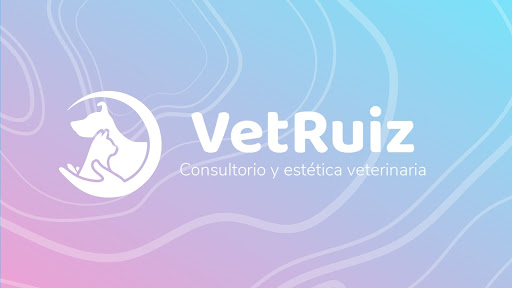Vet Ruiz
