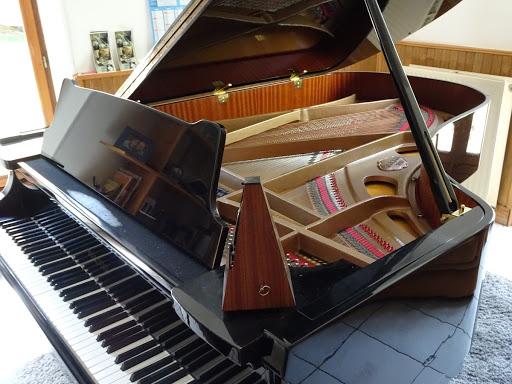 Stéphane Séjourné - Professeur De Piano & Claviers À Périgueux - Thumbnail