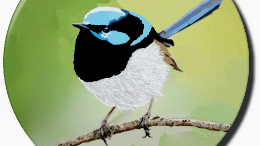 Blue Wren Window Cleaning Specialists