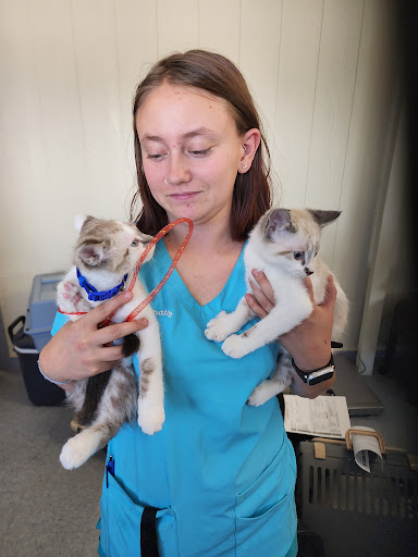 *Valencia County Animal Services* - Thumbnail