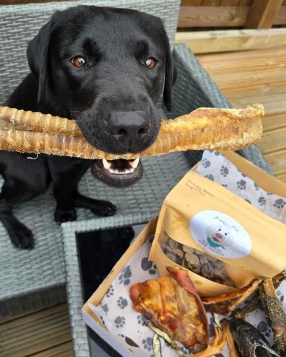 Buddys Pals Natural Treats photo 3