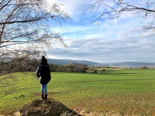 Roter Berg Saalfeld - Visual